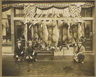 Early New Hampshire photos