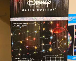 Disney x-mas lights.
