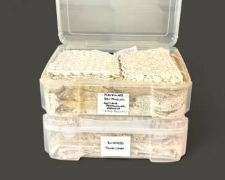 288 VintageAntiqueLaceLinensRunnersPlacematsPillowcases