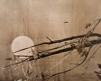 Andrew Wyeth "Full Moon" framed print