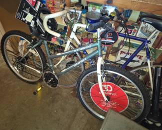 Brand new Dynacraft Northern Ridge women's mountain  bike