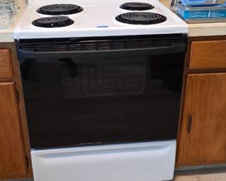 Electric stove 