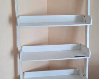 Wall ladder