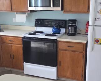 Electric stove