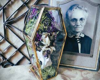 9" Glass Coffin Box Bone Vertebra Flowers Memento Mori Vulture Culture Décor
