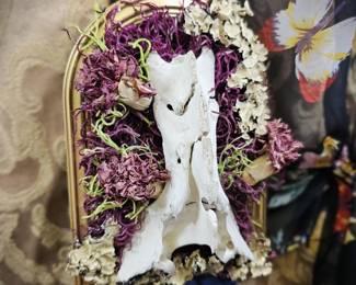 Vertebra Oddities Bone Art Vulture Culture Decor