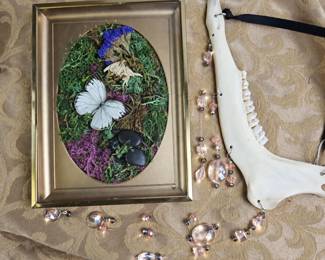 Faux Butterfly Shadow Box Deer Jaw Bone Sun Catcher Vulture Culture Décor