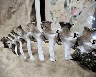 Deer Complete Spine Display or Craft Vulture Culture Décor