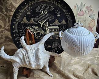 Spider Conch Shell Polynesian Funeral Ritual Memento Mori+Brass Tray Ceramic Urn