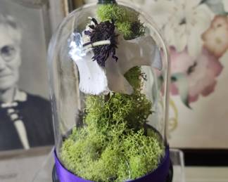 Cloche Animal Bone Vertebra Moss Vulture Culture Plastic Dome