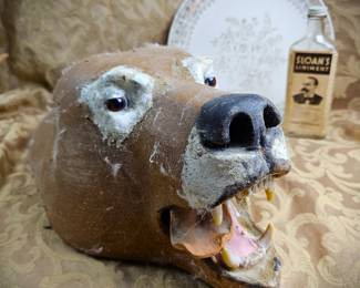 1970s Bear Rug Head Shell Teeth Tongue Taxidermy Oddities Dark Academia