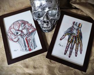 Embroidered Medical Anatomy Diagrams Vascular Head Hand 5x7 Framed Dark Academia