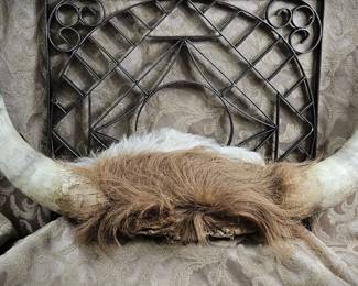 Highland Cattle Skull Cap Fur Horns Raw Unmounted Vulture Culture Décor