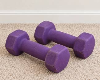 Pair of purple coated dumbbells for home workouts.