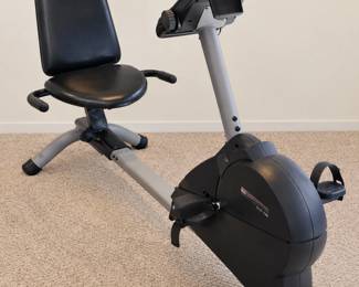 Recumbent exercise bike with a padded seat, supportive backrest, and console.