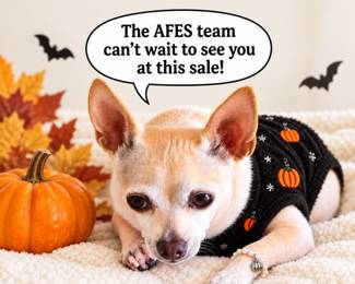 The American Families Estate Sales Team's mascot, Harley is ready for the spooky season and invites everyone to a spook-tacular estate sale!!