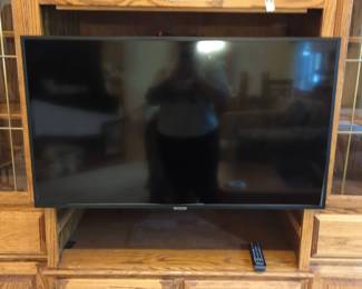 43 Inch Samsung Mounted Tv
