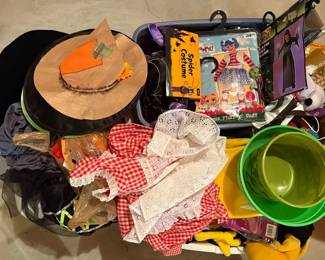 Halloween Costume Mystery