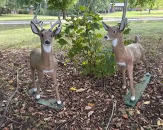 Deer Friends