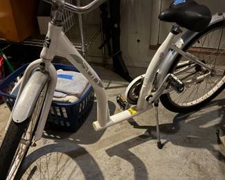 Easy step bike, bike store same one $1000
