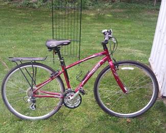 Specialized hybrid bicycle