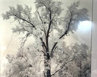 Black-and-white winter landscape print
