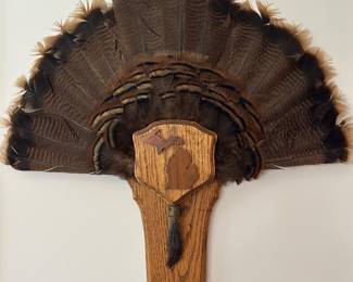 Wild turkey tail fan and beard wall mount