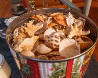 Large bucket of sea shells,