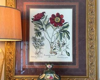 Framed botanical print (2).