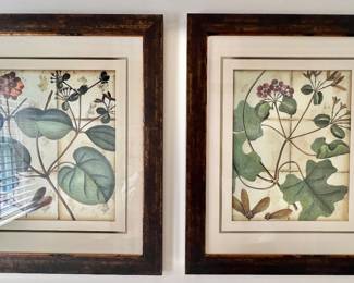 94. Pair of Botanical Prints (19" x 23")