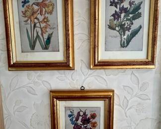 123. Set of 3 Gilt Framed Botanicals (9" x 12")