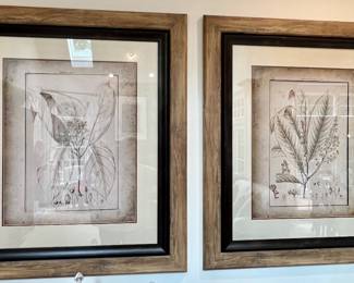 92. Pair of Framed Sepia Botanical Prints (41" x 46")