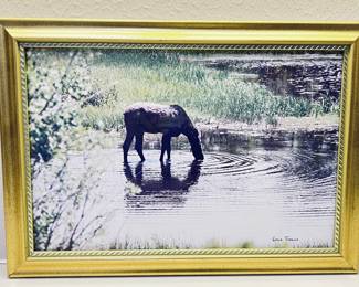 "Pond and Moose" Signed Print by "Gene Francis"