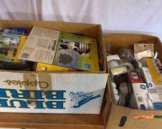 Mystery Lot of Lightbulbs