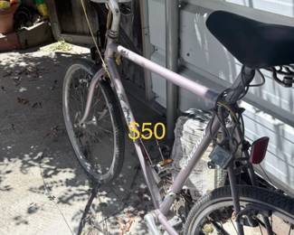 Raleigh bike — $50
