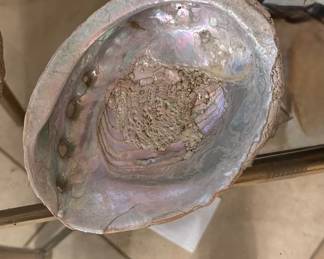Large abalone shell
