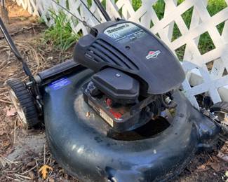 Push lawn mower