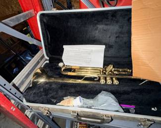 Brass musical instrument in carrying case