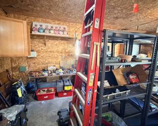 Ladders and garage storage