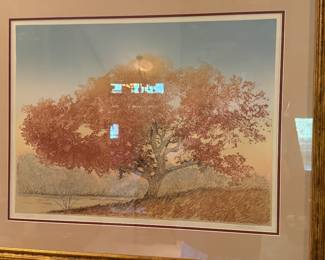 Jack Willis "Great Oak" 172/200