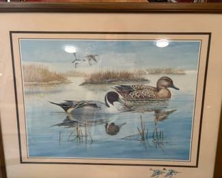 LOTS OF DUCK PAINTINGS