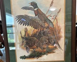 BEAUTIFUL BIRD PAINTINGS