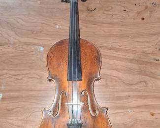 600. Germany maple