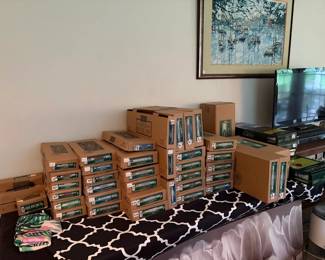 wind chimes in various sizes, tv, painting