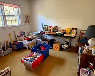Toy room filled with bins of toys, vintage playsets and children's books