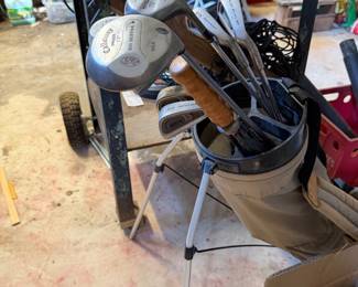 Golf bag with clubs including a Callaway Big Bertha driver