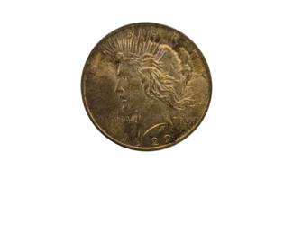 USA Peace Dollar 1922 S