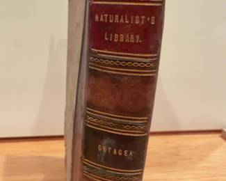 The Naturalist's Library: Cetacea (Whales) - Antique Leather Binding