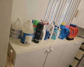 Lot 902: Assorted Household Cleaning and Laundry Supplies