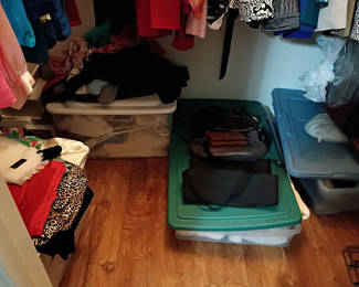 Lot 138: Assorted Women's Clothing and Storage Bins